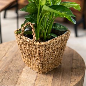 Seegras Korb eckig natur 24 x 24 x 21cm mit Einsatz und Henkel Blumentopf geflochten Aufbewahrungskorb Übertopf Blumenkorb