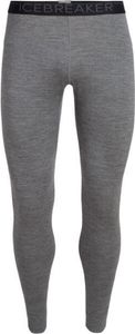 Icebreaker Merino 260 Tech Leggings Grau XL Mann Grau XL