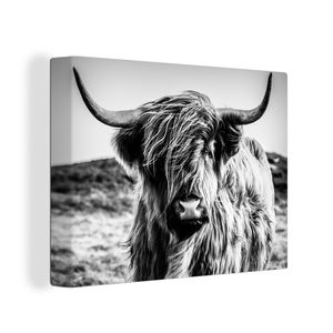 OneMillionCanvasses® Malba na plátně Nástěnná malba na plátně - Skotský horal - Příroda - Kráva - černá - bílá - 120x90cm