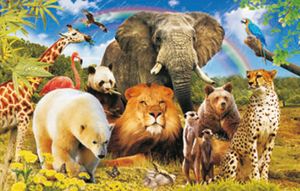 TischSet 3D Safari Tiere, Platzset 2erSet Platzdeckchen Poster Bilder Tier Wildtiere
