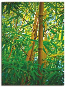 ARTland Leinwandbilder Bambus Nahaufnahmen Größe: 30x40 cm
