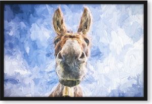Lustiger Esel Kunst Poster im Bilderrahmen / Format: 55x40cm / Kunstdruck gerahmt