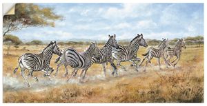 ARTland Wandbild, selbstklebend Laufende Zebras Größe: 40x20 cm