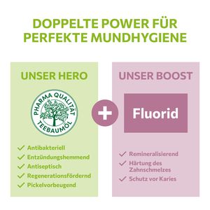 alkmene Mein Teebaumöl antibakterielle Mundspülung 6x 500 ml mit 6fach Schutz - vegan & klimaneutral - Zahnspülung