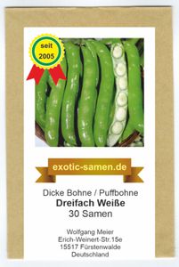 Dicke Bohne - Puffbohne - Ackerbohne - Frühausssaat - Dreifach Weiße - 30 Samen