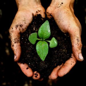 Blumenerde Spezial mit 6 Monaten Nährstoffversorgung 40 Liter - Premium-Erde für Zimmerpflanzen & Gartenpflanzen- inklusive EasyCoat Pflanzennahrung