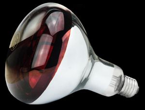Infrarotlampe 150 W rot Hartglass