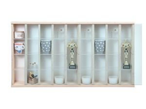 Vitrine Setzkasten Schaukasten Wandregal 94 cm x 52 cm x 11 cm / V-59