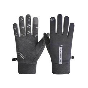 Winter Handschuhe Touchscreen Handy Handschuhe für Herren Winddicht Grau Hurtel