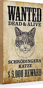 Holzschild Spruch Tiere 20x30cm wanted Schrödingers Katze