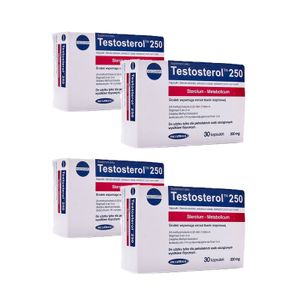 4x TESTOSTEROL 250 natürliche Testosteron Booster Muskelaufbau Libido anabol