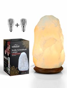 SalNatural Weiß HALIT Salzlampe (Salzkristalllampe bekannt als Salz) aus der Salt Range Punjab Salzsteinlampe incl.1.5m Kabel mit Lampenfassung & Schalter + 2x Leuchtmittel 15W