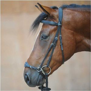 Zaumzeug Reiten Kavalkade Levana