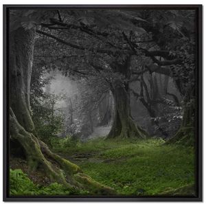 Dschungel im Regenwald Leinwandbild 70x70 cm im Bilderahmen Quadratisch / Wandbild  / Schattenfugenrahmen / Kein Poster