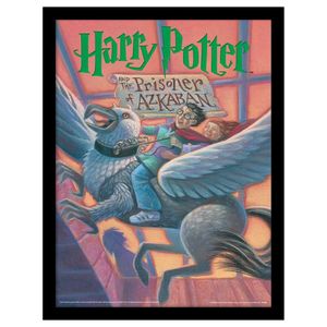 Harry Potter - potlač "The Prisoner Of Azkaban" PM8039 (40 cm x 30 cm) (farebná)