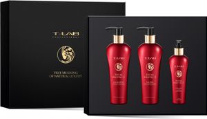 T-LAB Professional Total Protect Ritual