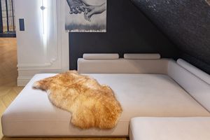 Lammfell Mufflon XXL – 120-130x65 cm - Echtes Schaffell, Natürliche Teppich für Wohnzimmer, Flauschiges Deko-Fell für Schlafzimmer