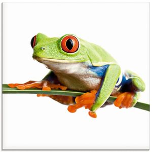 ARTland Glasbild Frosch auf einem Blatt Größe: 20x20 cm