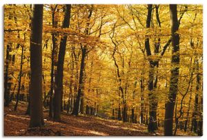 ARTland Leinwandbild Spaziergang im Herbstwald Größe: 30x20 cm