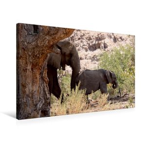 Calvendo  Textil-Leinwand 75 cm x 50 cm quer Elefant mit Baby unterwegs.  Jumbo - Auf den Spuren der Elefanten in Namibia, Imhof Walter; 7342892