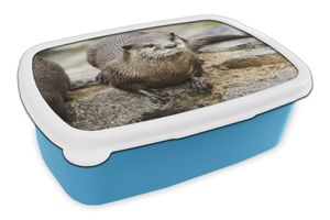 MuchoWow® Lunchbox Brotzeit Brotdose 17x11 cm Otter - Stein - Wasser Kinder Brotzeitdose - Lunch - Kunststoff  - Brotbüchse - Sandwichbox - Lunchbox für Kinder