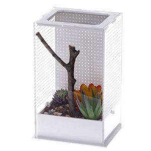 Repti-Zoo Mantis Box L - Terrarium Akrylowe Dla Modliszek