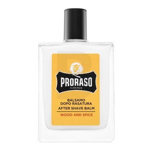 Proraso Wood And Spice After Shave Balm beruhigendes After-Shave-Balsam 100 ml