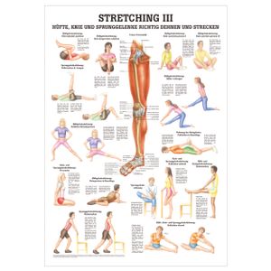 Stretching III Mini-Poster Anatomie 34x24 cm medizinische Lehrmittel