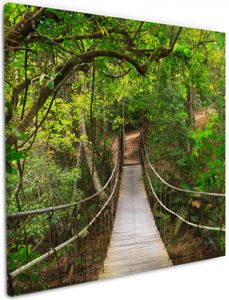 Wallario Premium Leinwandbild Hängebrücke im Urwald  grüner Dschungel in Größe 50 x 50 cm