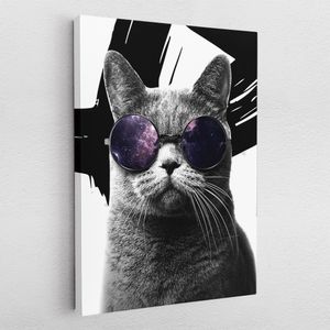Leinwandbild Poster Acryl Pop-Art Graffiti Coole Katze Sonnenbrille Abstrakt Cat