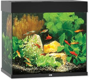 Aquarium-Set JUWEL Lido LED 120 schwarz