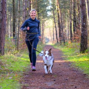 Joggingleine mit Bauchgurt | Freihandleine mit Dehnung und Ruckdämpfung für mittlere und große Hunde | Freie Hände für Jogging Fahrrad Kinderwagen Sport