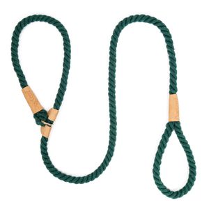 Hundeleine Slip Rope Geflochtenes Seil 1,7 m Heavy Duty No Pull Trainingsleine fuer kleine mittelgrosse Hunde