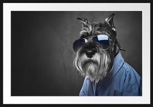 Lustiger Hund mit Hemd und Sonnenbrille B&W DetailBilderrahmen mit Galerie-Passepartout / Format: 100x70cm / gerahmt / hochwertige Leinwandbild Alternative