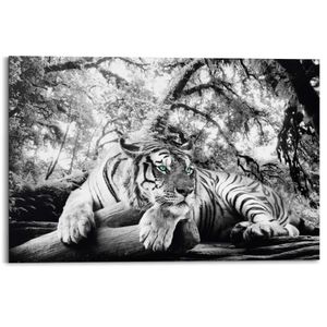 Wandbild Deco Panel Tigerblick Tiger - Raubtier - Jungle - Naturmotiv