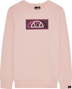 Ellesse Ferriera Sweatshirt Rosa 12-13 Years Junge Rosa 12-13 Years Ellesse Ferriera Sweatshirt Rosa 12-13 Years Junge Rosa 12-13 Years
