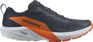 Buty Salomon do biegania Sense Ride 5 Gtx Gore-tex 474594