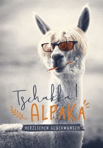 SET 2 Geburtstagskarte Tschakka Alpaka Herzlichen Glückwunsch mit Umschlag 11,5 x 16,6 cm