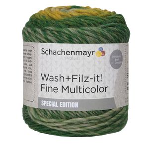 Schachenmayr Wash+Filz-it! Fine Multicolor, 100g Landscape color Filzgarne