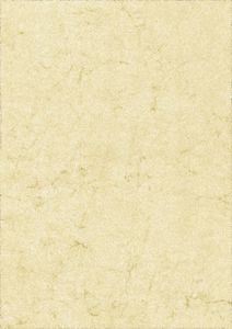 100xRNK Verlag 2864 Dokumentenpapier (Elefantenhautpapier) 110g/qm chamois DIN A4