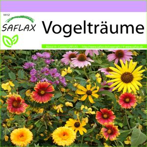 SAFLAX - Wildblumen: Vogelträume - 1000 Samen - 20 Wildflower Mix