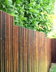 Sichtschutz aus Bambus - Rollzaun ATY NIGRA (Höhe x Breite) - 90 cm x 180 cm