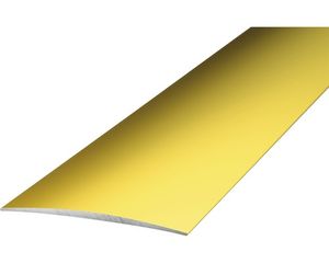 Übergangsprofil Alu gold selbstklebend 40 x 1000 mm
