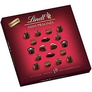 Lindt Mini Pralines feinherbe Schokolade Pralinenmischung 90g