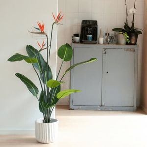 Szmaragdowa sztuczna roślina Strelitzia w doniczce z kwiatami 120 cm