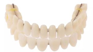 Acryl Zähne Zahnersatz Zahnprothese Gebiss Ober und Unterkiefer 28 Zähne 🦷