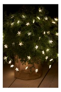 Sirius Home Lichterkette Trille 125 LED Sterne Outdoor 13 x 1 m grün