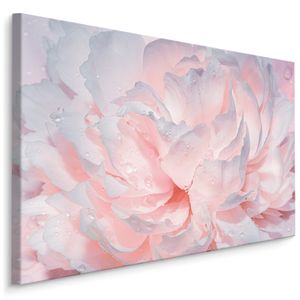 Fabelhafte Canvas LEINWAND BILDER 120x80 cm XXL Kunstdruck Pfingstrosen Blumen Natur