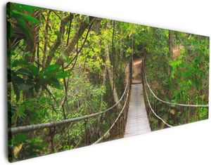 Wallario Premium Leinwandbild Hängebrücke im Urwald  grüner Dschungel in Größe 50 x 125 cm