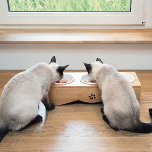 Navaris Futternapf Katze erhöht - Futterstation für Katzen und Hunde - Napfset aus Keramik - Napf Katze - 3x Fressnapf Katzennapf - Katzenschüssel spülmaschinenfest